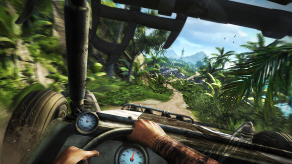 Far Cry 3 - Deluxe Edition Steam - Click Image to Close